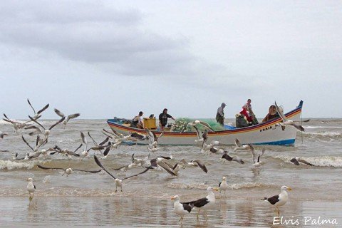 Mais de oito mil pescadores artesanais  realizam os seus trabalhos no Complexo Lagunar  -  Foto:Elvis Palma/Divulgação/Notisul