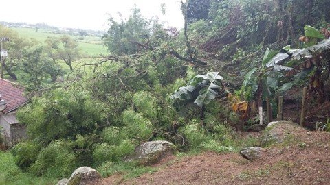 Na Cidade Azul, ocorreu um deslizamento na comunidade da Madre, ocorrência que não feriu ninguém e não atingiu nenhum imóvel  -  Foto:DC de Tubarão/Divulgação/Notisul