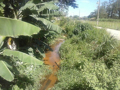 mutirao-diminuira-incidencia-do-borrachudo-1 O trabalho é executado há três anos nas comunidades - Foto:Prefeitura de Tubarão/Divulgação/Notisul