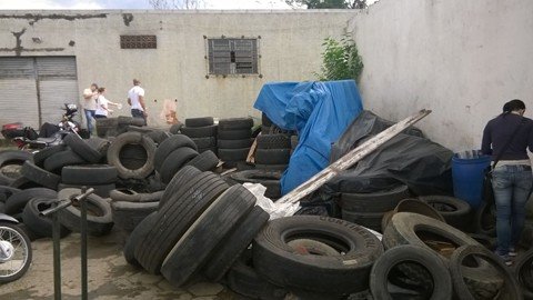 Pneus ainda estão a céu aberto em borracharia. Quatro larvas foram encontradas ontem e segunda    -  Foto:20ª Gerência de Saúde/Divulgação/Notisul