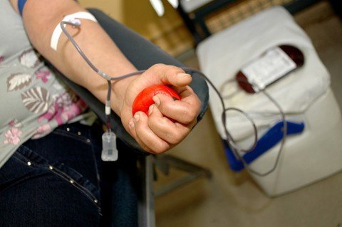 Na Amurel há somente um Hemosc. Fica em Tubarão e é aberto das 7 às 13 horas, de segunda a sexta-feira  -  Foto:Divulgação/Notisul