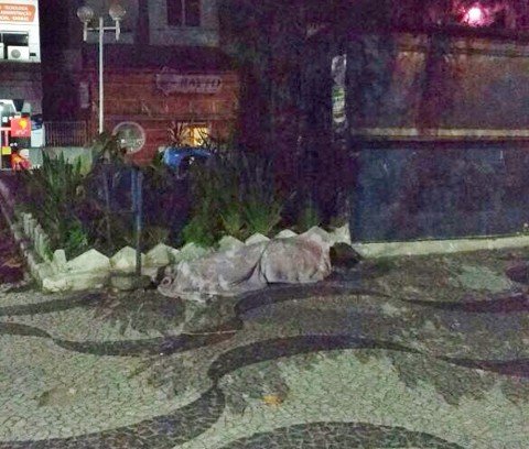 doacoes-iniciam-hoje-1 Praças e pontes são locais onde há moradores de rua em Tubarão - Foto:Alice Goulart Estevão/Notisul