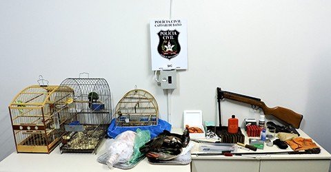 animais-silvestres-sao-apreendidos-1 Um tatu, três marrecas, dois pássaros silvestres, além de equipamentos para arma de fogo, estavam na casa - Foto:Divulgação/Notisul