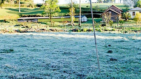 Geada deve ocorrer praticamente todos os dias deste inverno nas áreas mais altas do Sul do país. - Foto: Divulgação/Notisul.