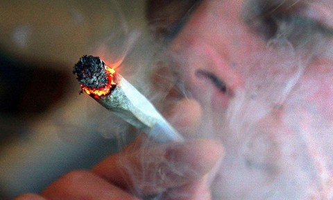 maconha-vicia-e-gera-prejuizos-permanentes-1 Em média, as pessoas que usaram maconha tinham feito isso por pelo menos 12 anos. - Foto: Divulgação/Notisul.