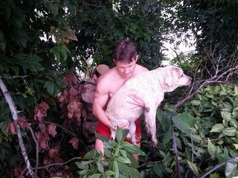 Depois do susto, Emi descansa em casa