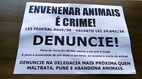 Foto:Divulgação/Notisul