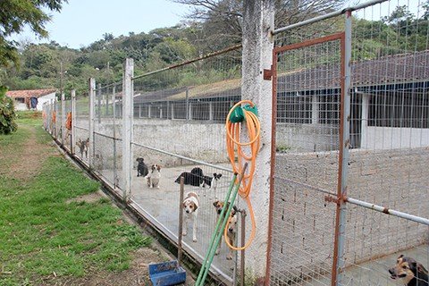 Castrações estão suspensas