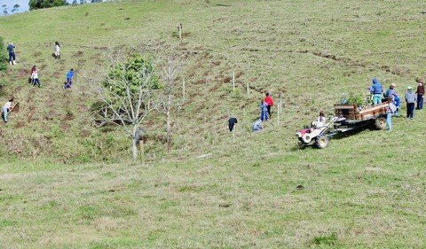 Estudantes ajudam a proteger nascente