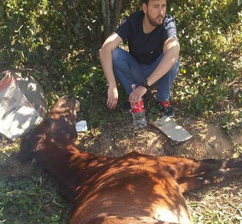 Veterinária é reconhecida por empenho