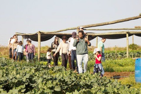 clube-poe-saude-na-mesa-1 Visitantes plantam árvores frutíferas - Foto: Divulgação/Notisul