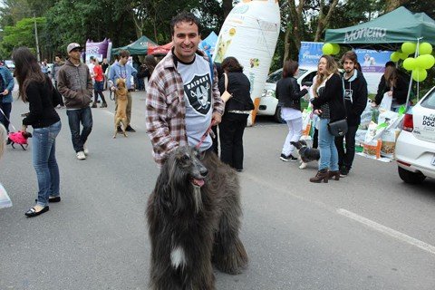 7a-edicao-e-neste-sabado-1 O exótico Cheerack chamou a atenção durante a Cãominhada 2015. Da raça afghan hound, ele ficou em segundo lugar como Maior Cão, perdendo por apenas um centímetro para um dog alemão. Felipe Duarte é o dono do cão - Foto:KBS Assessoria/Divulgação/Notisul