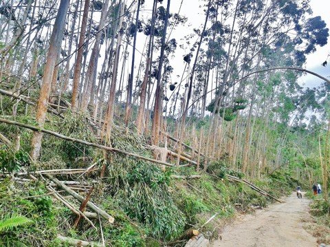 Estrada que liga o Sertão dos Mendes ao Km 60, em Tubarão, ainda está parcialmente obstruída. Prejuízos na região ainda nem foram contabilizados  -  Foto:Rafael Andrade/Notisul