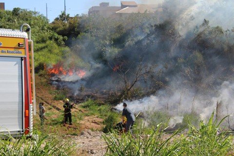 bombeiros-combatem-fogo-em-vegetacao-em-sao-ludgero-e-laguna-1 Chamas tomaram boa parte da vegetação às margens da SC-108, no bairro Parque das Acácias, em São Ludgero - Foto:Fernando Sombrio/Repórter Sul/Divulgação/Notisul