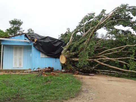 O município teve mais de R$ 600 mil em danos particulares e aguarda liberação do benefício para recuperação de residências  -  Foto:Defesa Civil de Pedras Grandes/Divulgação/Notisul