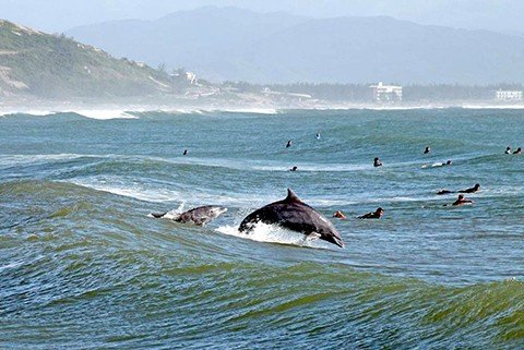 O primeiro dia de verão será com o tempo típico da estação. - Foto: Elvis Palma/Divulgação/Notisul.
