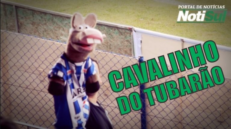 Cavalinho do CAT vibra com a torcida