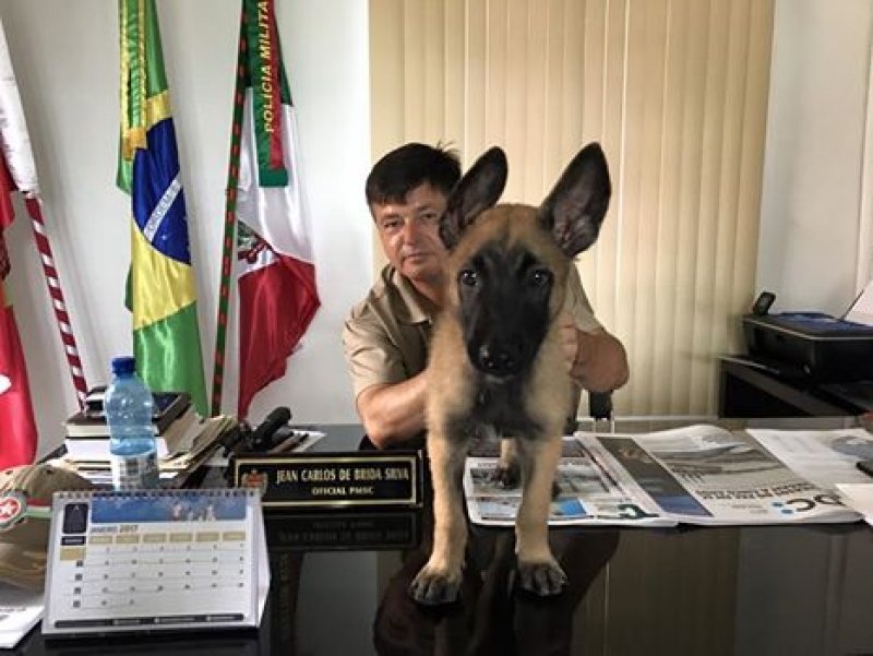 um-reforco-muito-especial-no-batalhao-da-policia-militar-de-imbituba-1