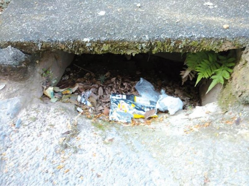 boca-de-lobo-sem-lixo-programa-sera-lancado-amanha-1