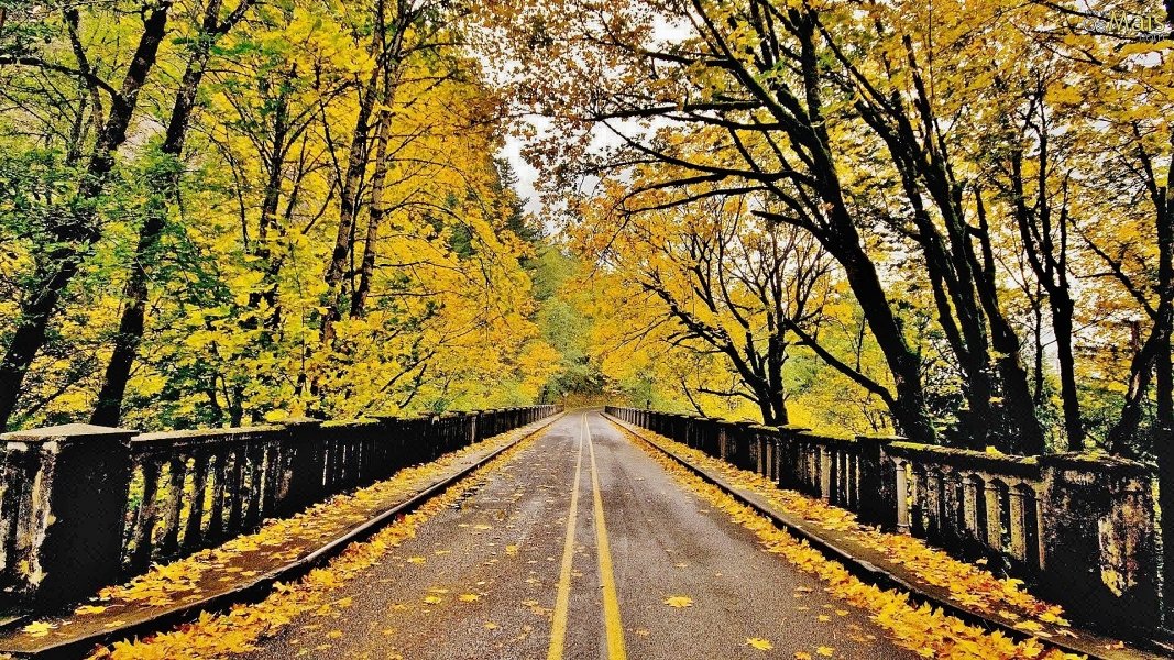 previsao-do-tempo-14-a-17-de-marco-olha-o-outono-ai-1