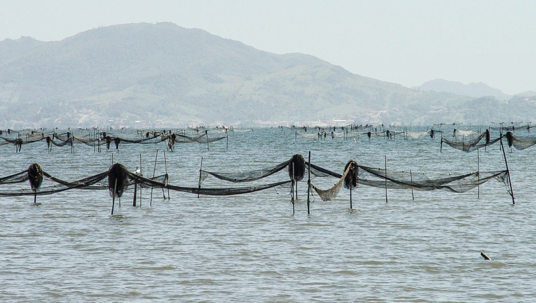 festival-cultural-sabores-da-zimba-acao-evidencia-utilidades-do-camarao-e-pesca-artesanal-1