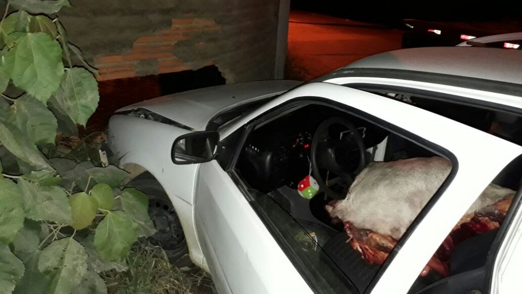 abigeato-dupla-e-presa-com-boi-carneado-dentro-de-carro-1