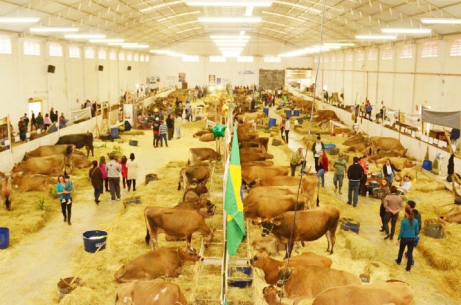 agronegocio-14a-feagro-comeca-amanha-1