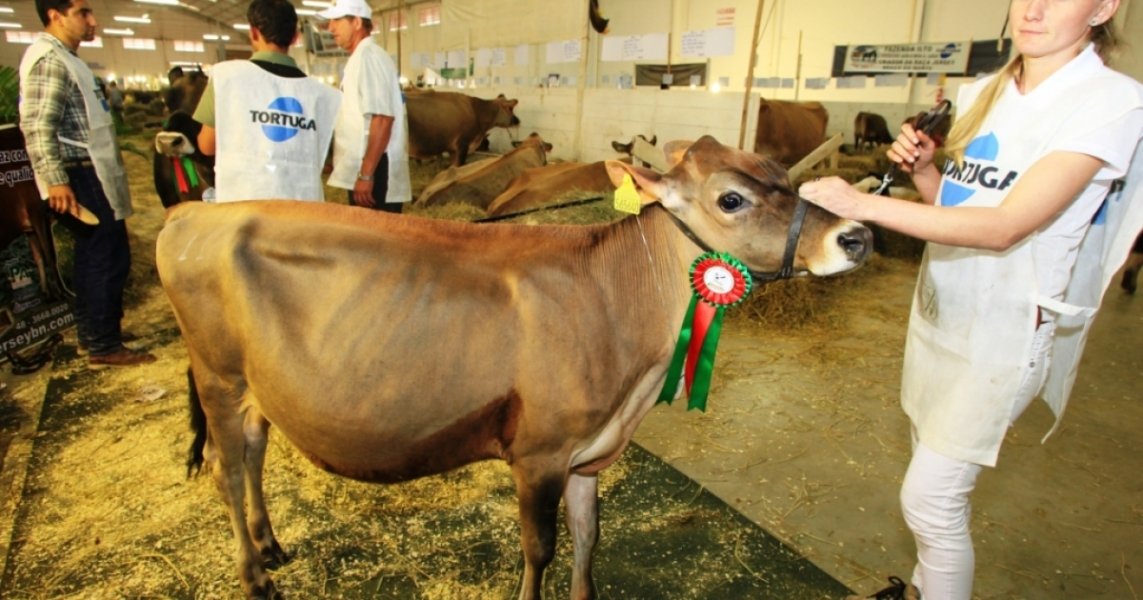 agronegocio-feagro-inicia-hoje-em-braco-do-norte-1