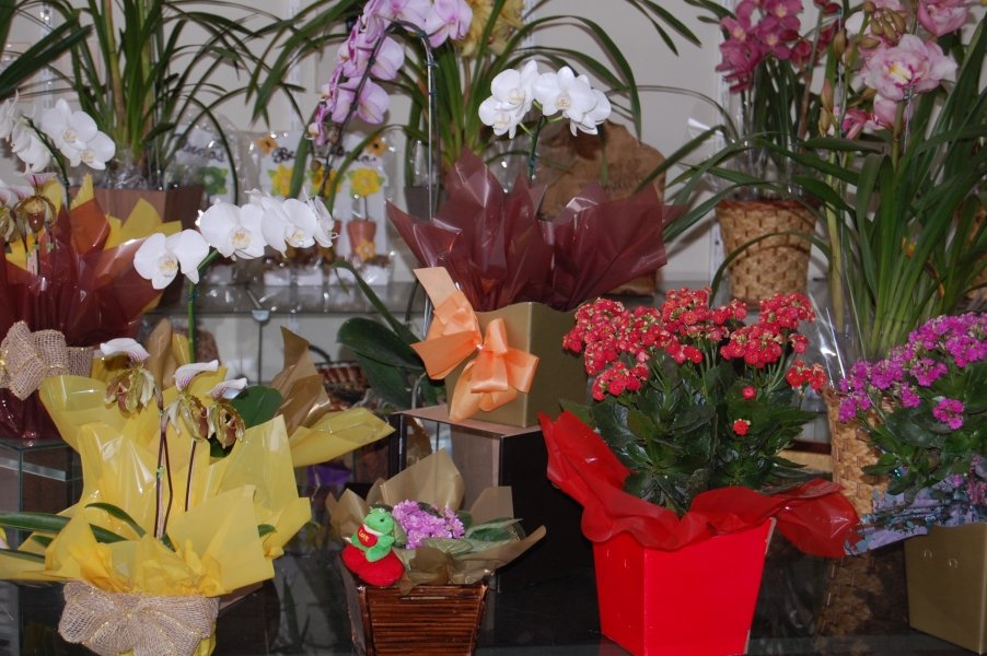 paixao-pelas-flores-mandar-flores-para-o-seu-amor-sempre-funciona-1