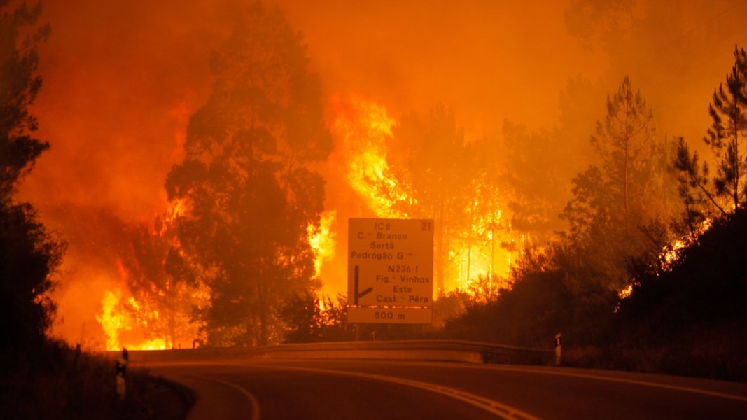 tragedia-em-portugal-62-morrem-em-incendio-florestal-numero-de-vitimas-deve-aumentar-1