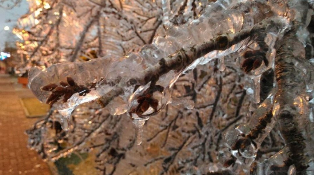 bom-jardim-da-serra-registra-a-temperatura-mais-baixa-do-ano-no-pais-1