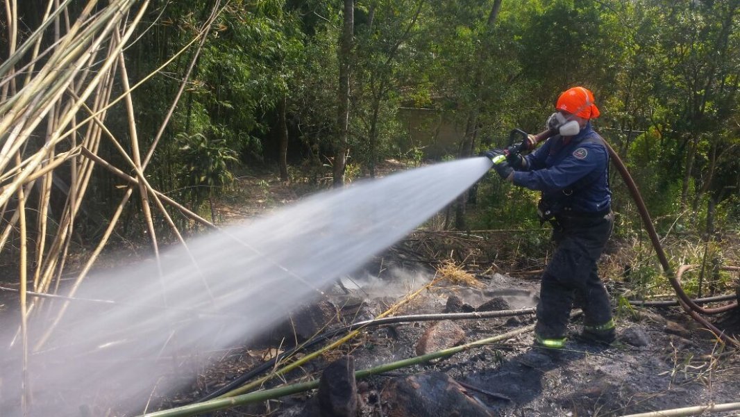 corpo-de-bombeiros-registra-mais-de-200-focos-de-incendio-em-vegetacao-nesta-semana-1