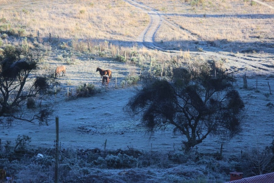 temperatura-pode-chegar-a-9oc-na-proxima-semana-1