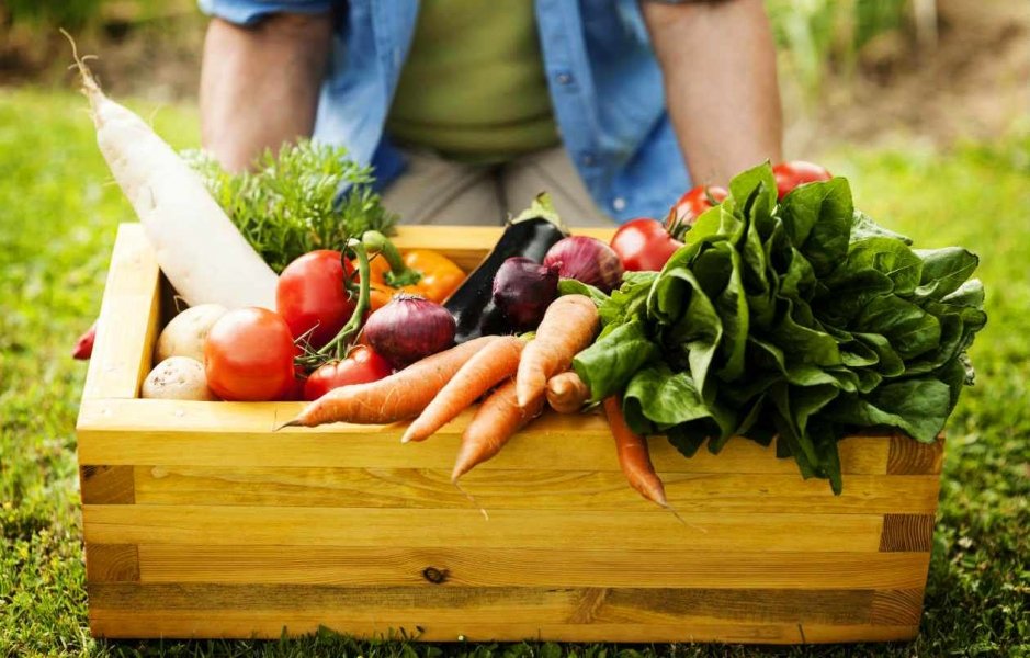 saude-produtos-organicos-sao-consumidos-por-15-da-populacao-1