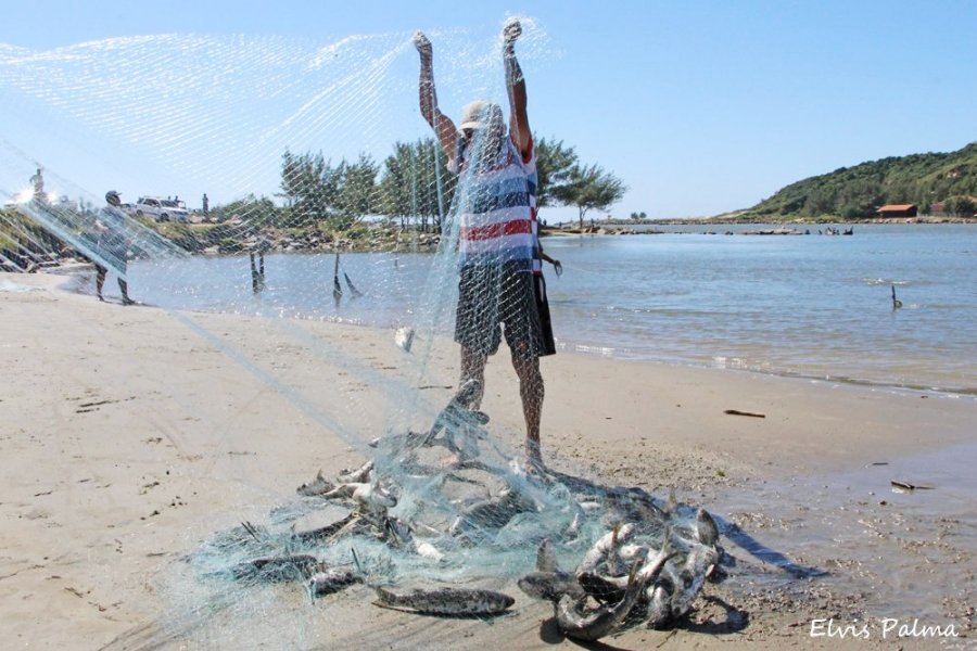 semana-do-peixe-inicia-amanha-em-laguna-1