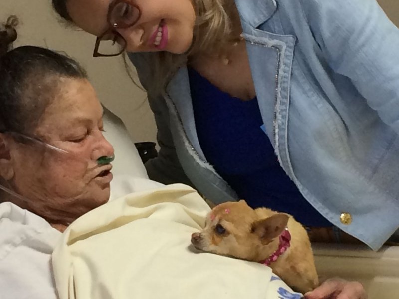 visitas-de-animais-de-estimacao-passam-a-ser-permitidas-no-hospital-socimed-1