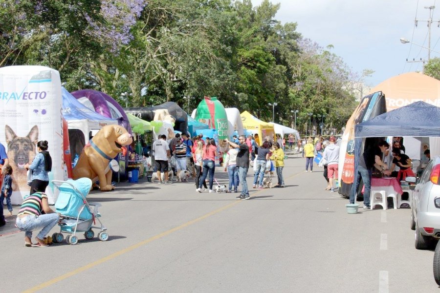 caominhada-esta-agendada-para-este-domingo-em-tb-1
