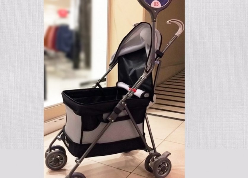 carona-pet-e-o-novo-servico-oferecido-por-shopping-em-tubarao-1