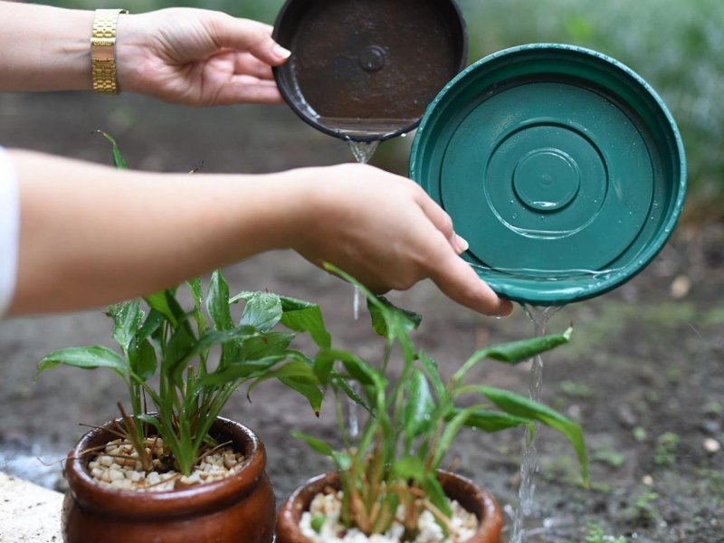 ministerio-da-saude-repassa-r-304-milhoes-para-combate-ao-aedes-aegypti-1