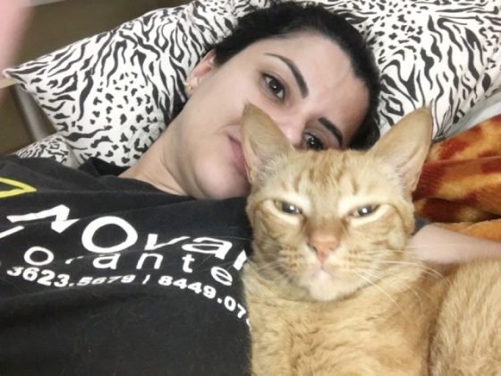 Aumigos, o destaque desta semana &eacute; a Honda, uma gatinha linda sem ra&ccedil;a definida. Sua mam&atilde;e, Gabriela Bonif&aacute;cio, me contou que ela adora brincar com bolinha e com o arranhador. Fofuras essas duas. - Foto: Divulga&ccedil;&atilde;o/Notisul