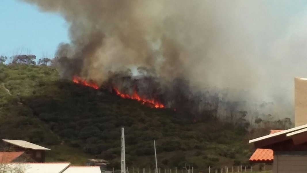 incendio-atinge-vegetacao-em-imbituba-1