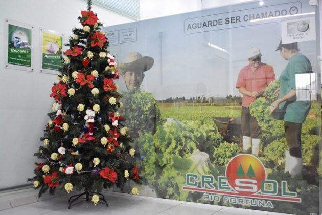 Natal solid&aacute;rio - Foto: Divulga&ccedil;&atilde;o/Notisul