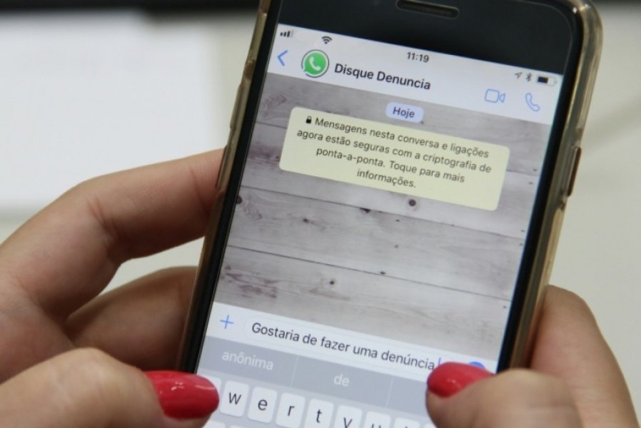 whatsapp-denuncia-e-lancado-pela-policia-civil-de-santa-catarina-1 Foto: Divulgação/Portal Notisul