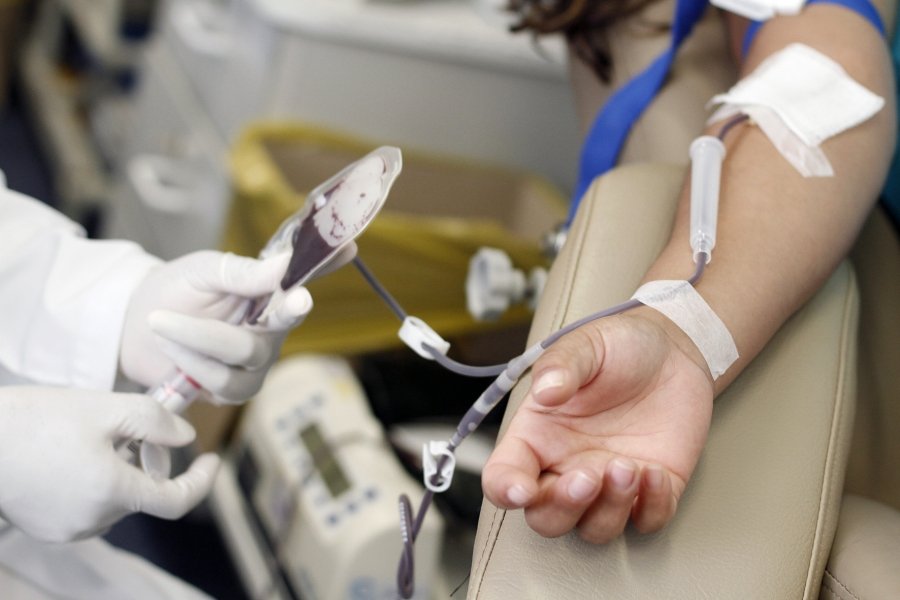 coleta-de-sangue-sera-interrompida-em-fevereiro-em-tubarao-1