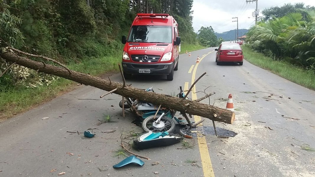 giro-pelo-estado-arvore-cai-atinge-moto-e-deixa-duas-pessoas-feridas-na-sc-340-0