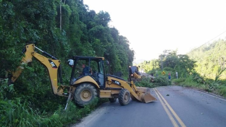 Limpeza da SC-108 - Foto: Divulga&ccedil;&atilde;o/Notisul