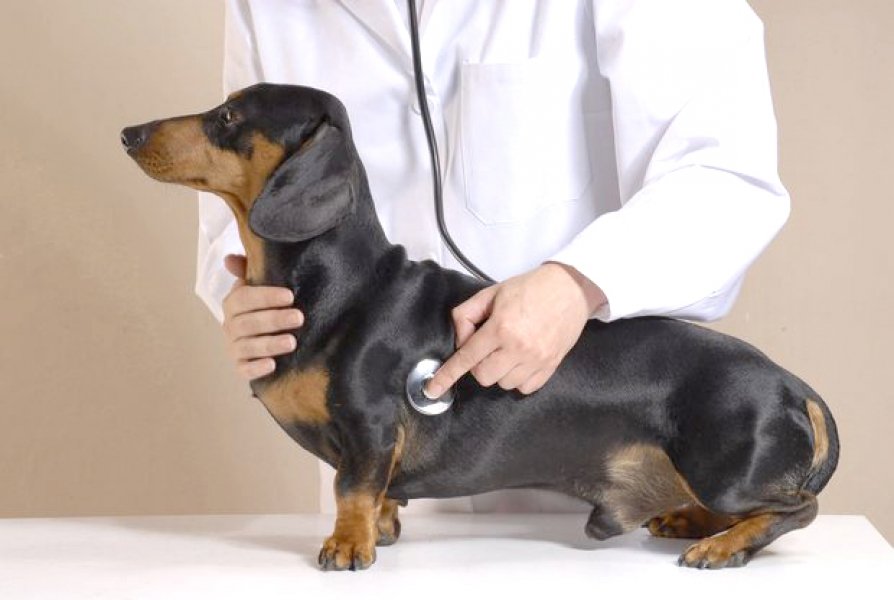 Foto: Divulgação/Notisul