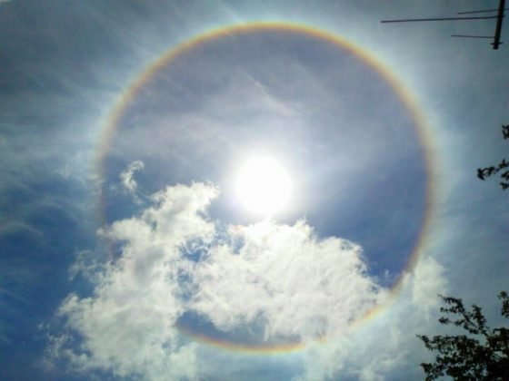 Ana Cristina Mendes - Tubar&atilde;o