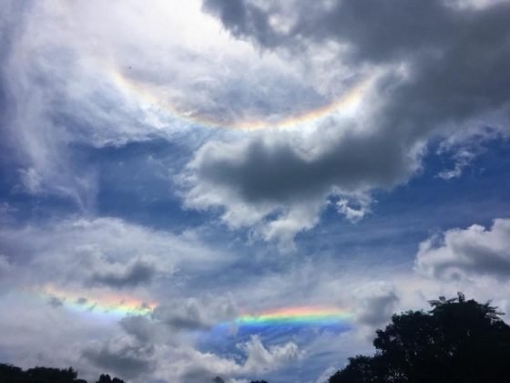 Eduarda Varnier - Pedras Grandes - Comunidade S&atilde;o Jo&atilde;o de Azambuja 