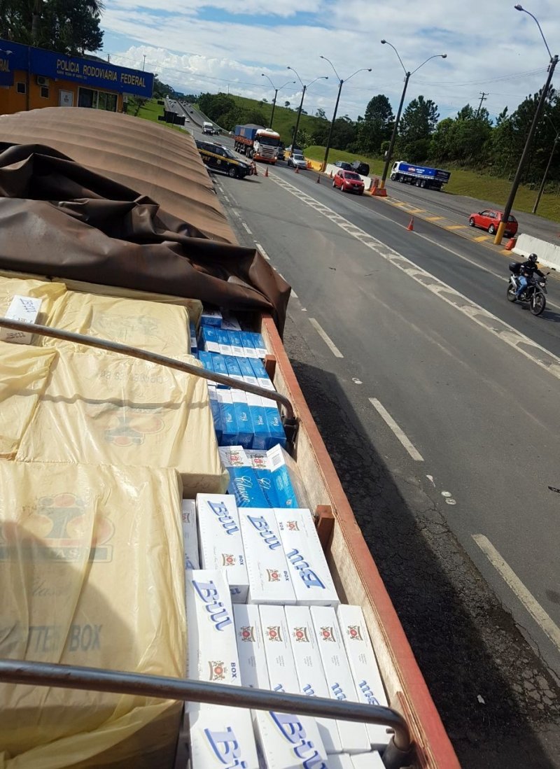 quase-500-mil-macos-de-cigarros-foram-apreendidos-em-araquari-1